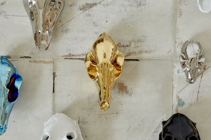 Zlatá lebka - liška